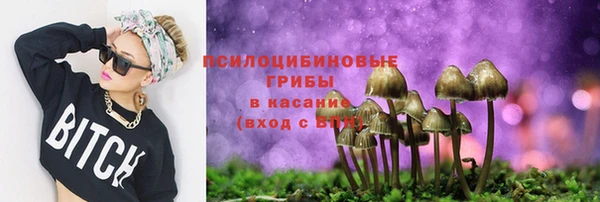 Альфа ПВП Зерноград