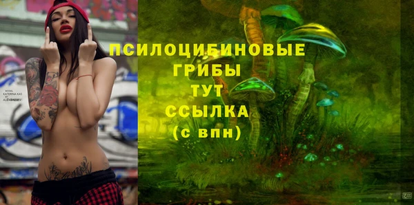 Альфа ПВП Зерноград