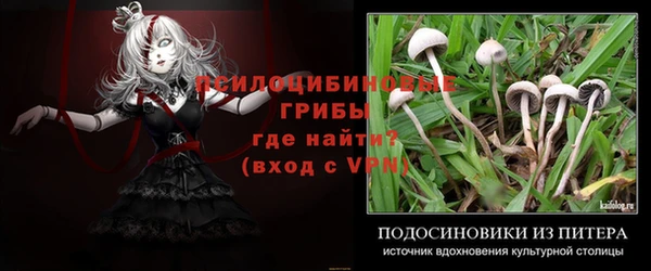 Альфа ПВП Зерноград