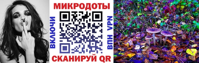 Купить где  Лермонтов  Псилоцибиновые грибы Psilocybine cubensis 